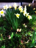 Klicke auf die Grafik für eine vergrößerte Ansicht  Name: kyo1.jpg Ansichten: 0 Größe: 2,92 MB ID: 241130