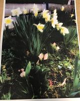 Klicke auf die Grafik für eine vergrößerte Ansicht  Name: kyo2.JPG Ansichten: 0 Größe: 1,72 MB ID: 241133