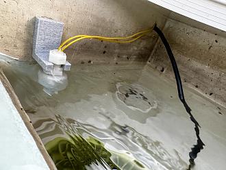 Klicke auf die Grafik für eine vergrößerte Ansicht

Name: 2023-06-22 19.58.40.jpg
Ansichten: 780
Größe: 2,12 MB
ID: 395519